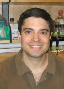 David Kadosh